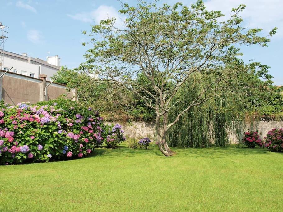 Apartment Precioso Wifi, Aparcamiento, Piscina En *